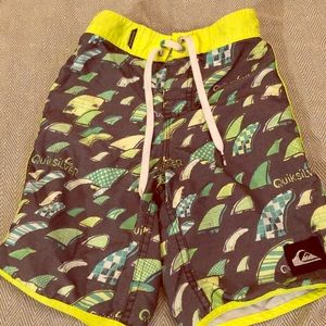 Quicksilver Swim Trunks